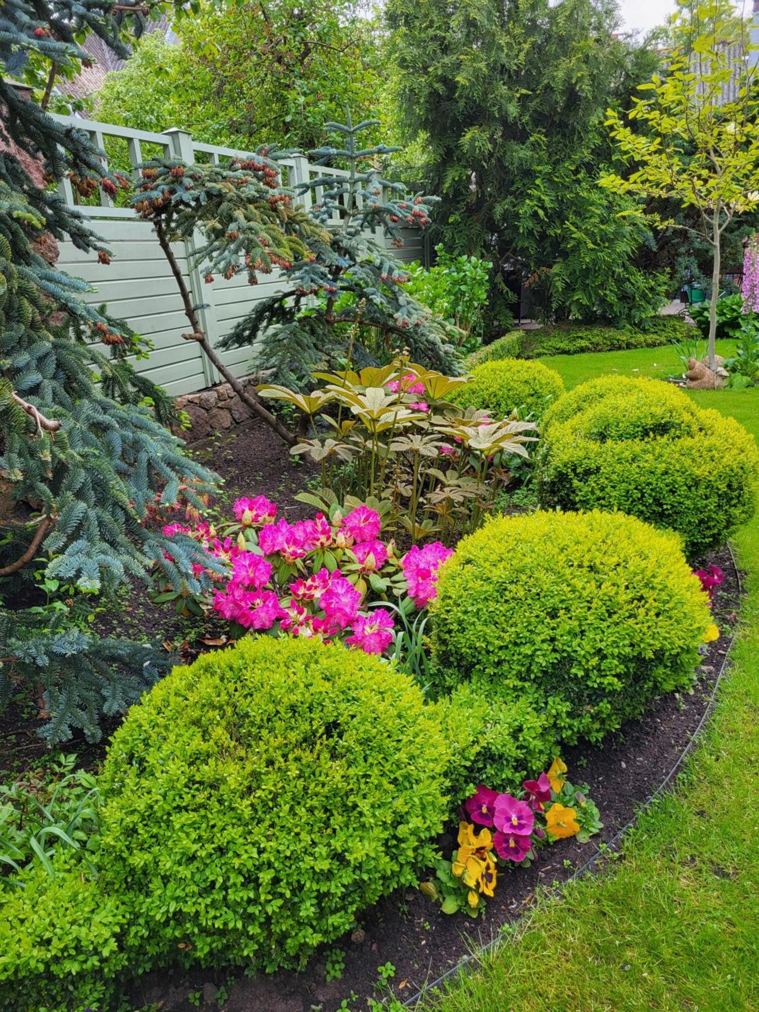 Vila Florena Garden Паланга Экстерьер фото