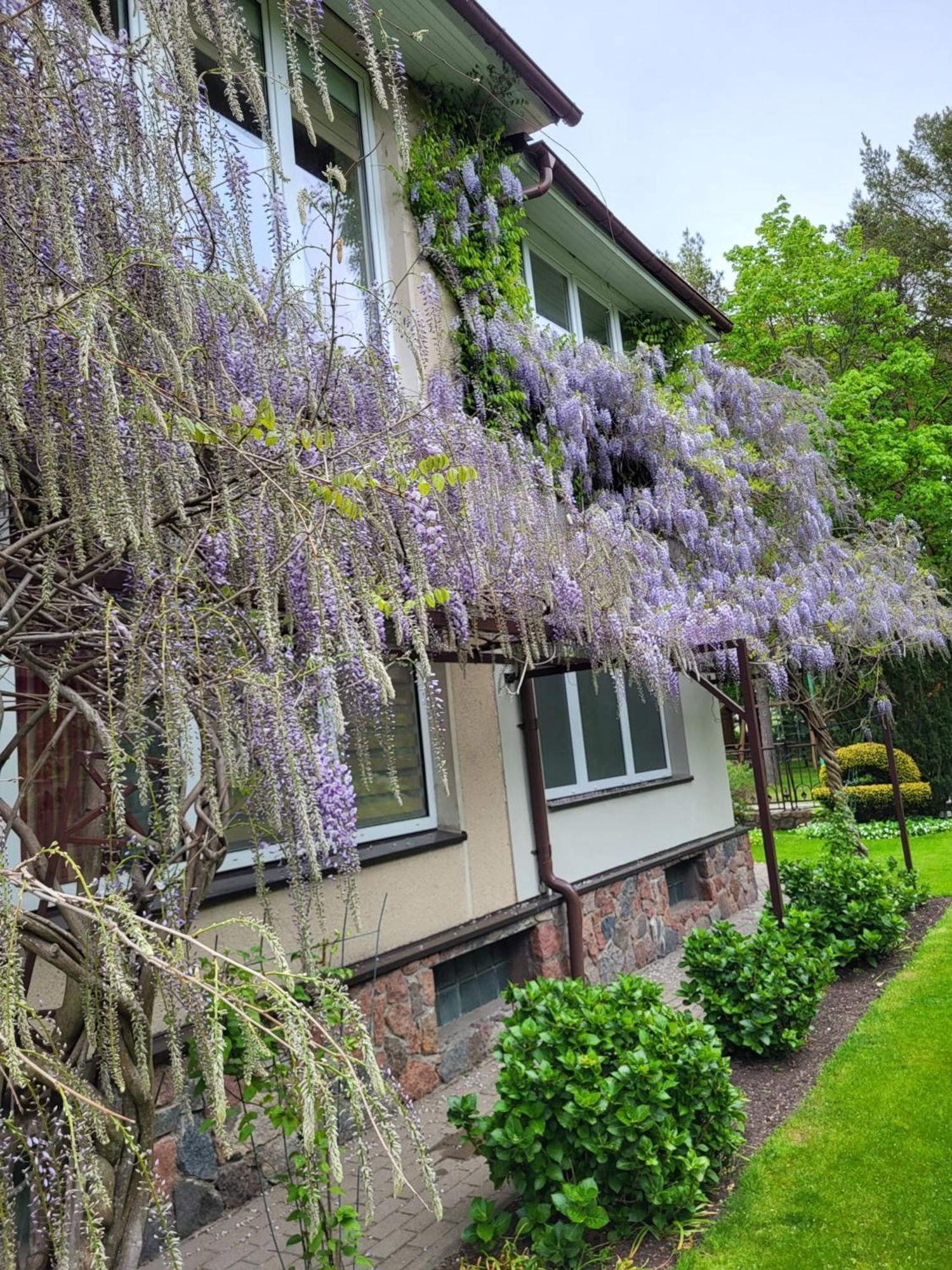 Vila Florena Garden Паланга Экстерьер фото